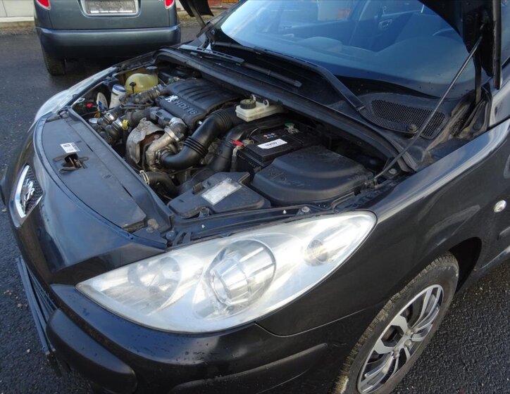 Peugeot 307 19