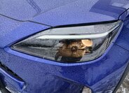 Toyota Yaris Cross 27