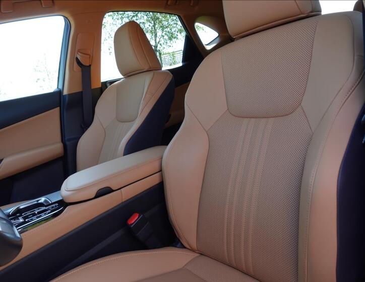 Lexus NX 450h plus 33