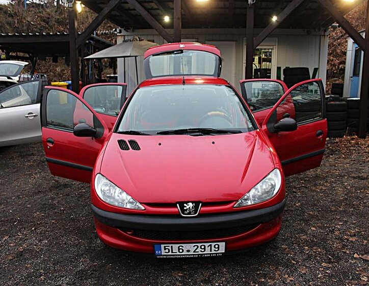 Peugeot 206 17