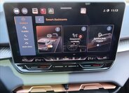 Cupra Terramar SUV / Terénní 2,0 l 195 kw