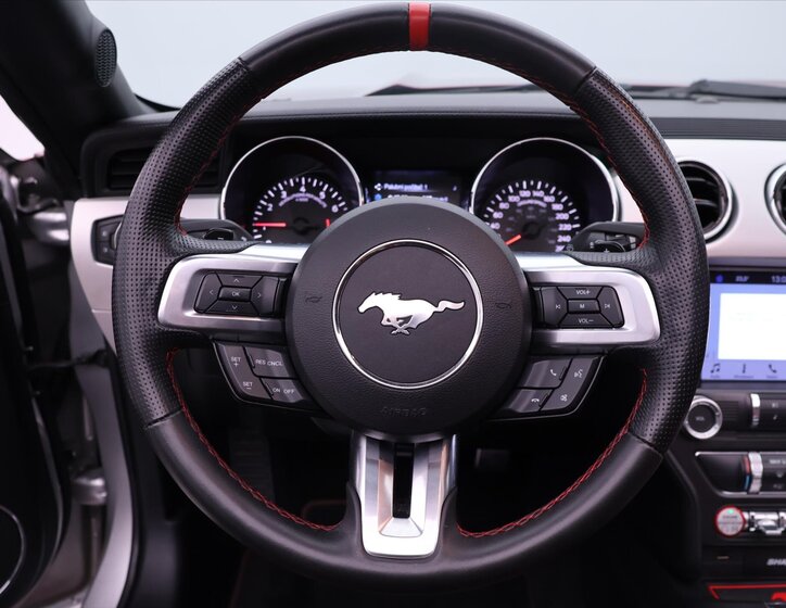 Ford Mustang Kabriolet 5,0 l 310 kw
