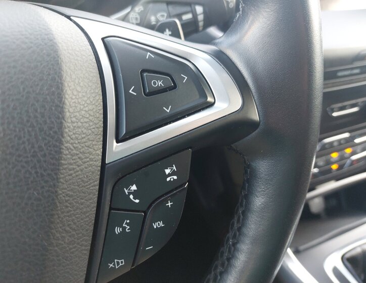 Ford S-MAX Ostatní 2,0 l 132 kw