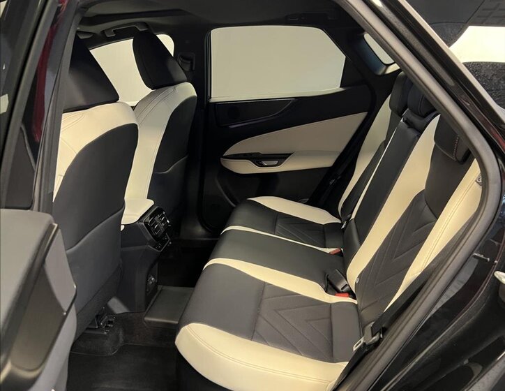 Lexus NX 450h plus 8