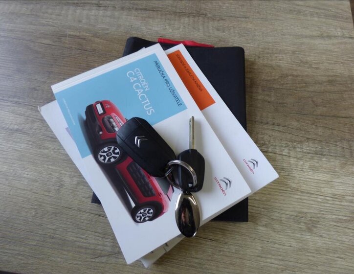 Citroën C4 Cactus 43