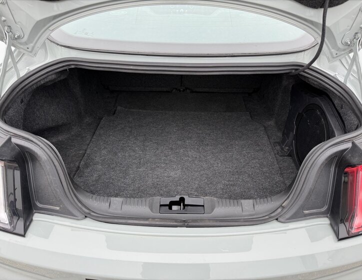 Ford Mustang Kupé 5,0 l 338 kw