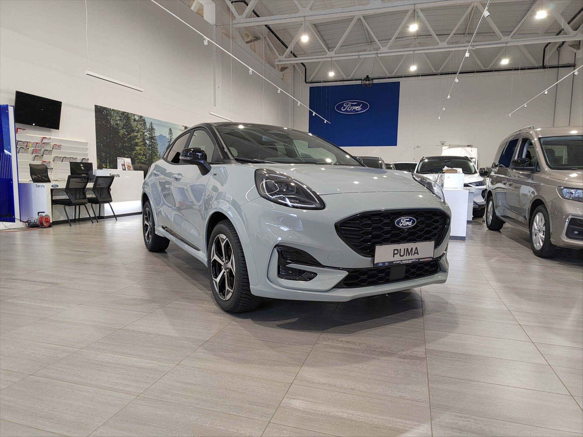 Ford Puma Ostatní 999,0 91 kw