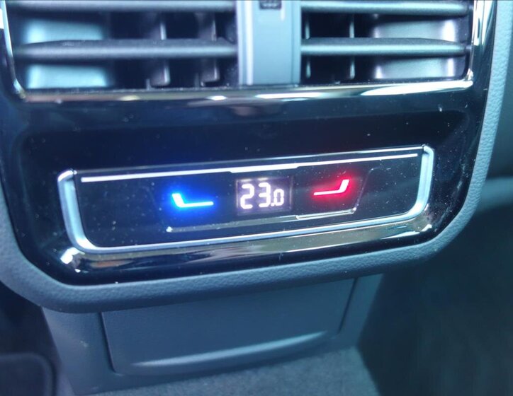 Volkswagen Passat 19