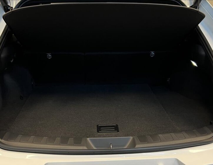 Lexus UX 300h SUV 2,0 l 146 kw