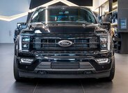 Ford F-150 Pick-up 5,0 l 298 kw
