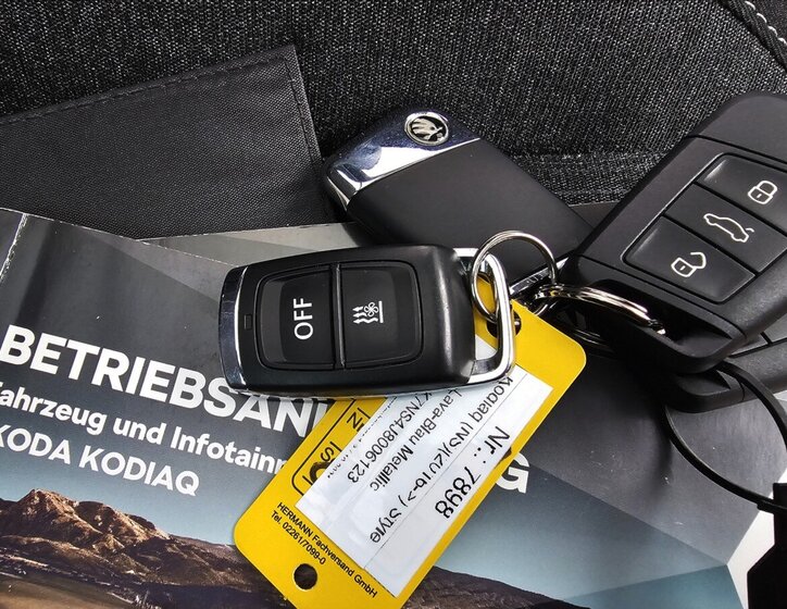 Škoda Kodiaq 45