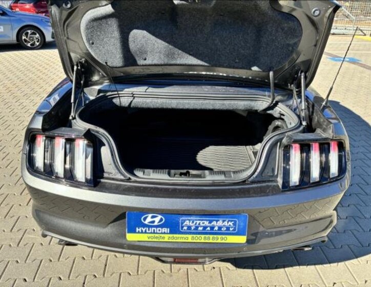 Ford Mustang Kabriolet 5,0 l 310 kw