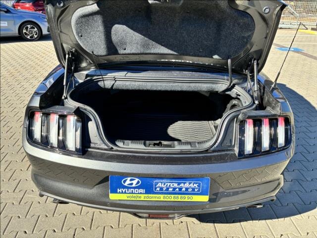 Ford Mustang Kabriolet 5,0 l 310 kw