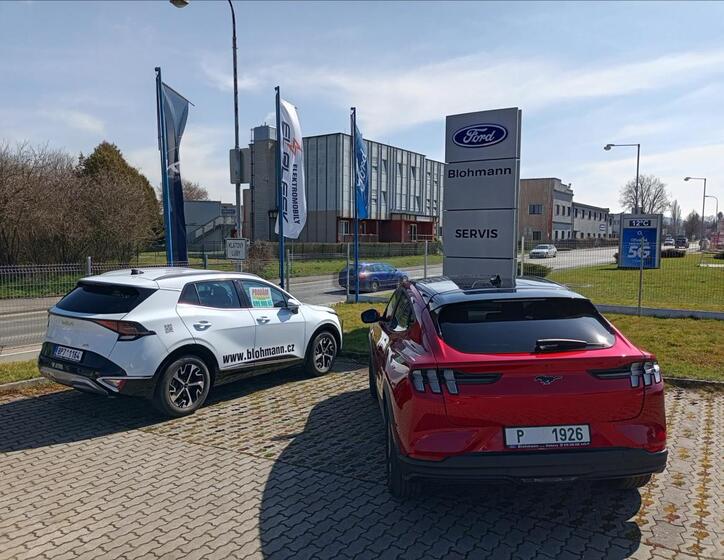 Ford Mustang Mach-E 15