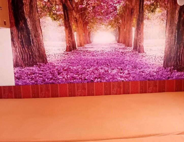 Ostatní Ostatní Ostatní 0,0 0