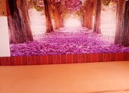 Ostatní Ostatní Ostatní 0,0 0