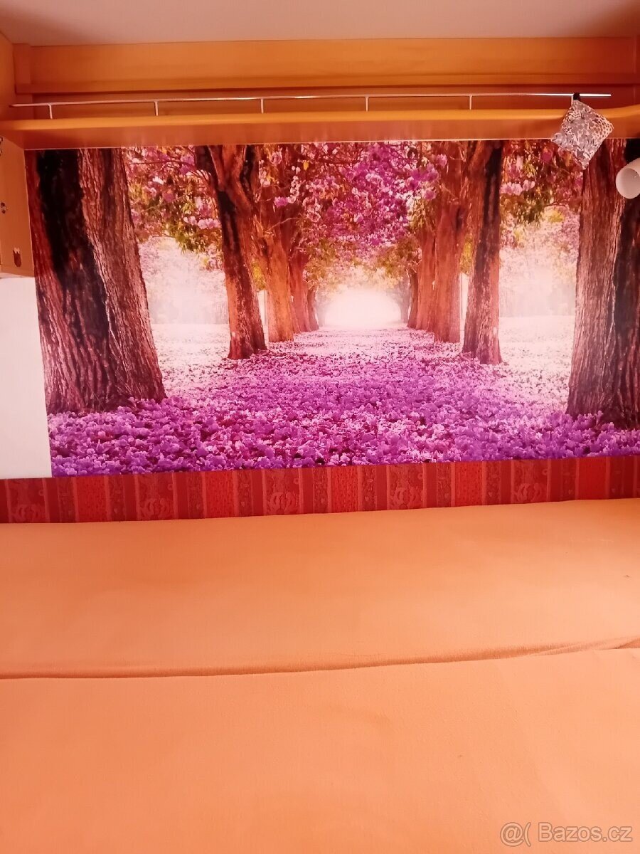 Ostatní Ostatní Ostatní 0,0 0