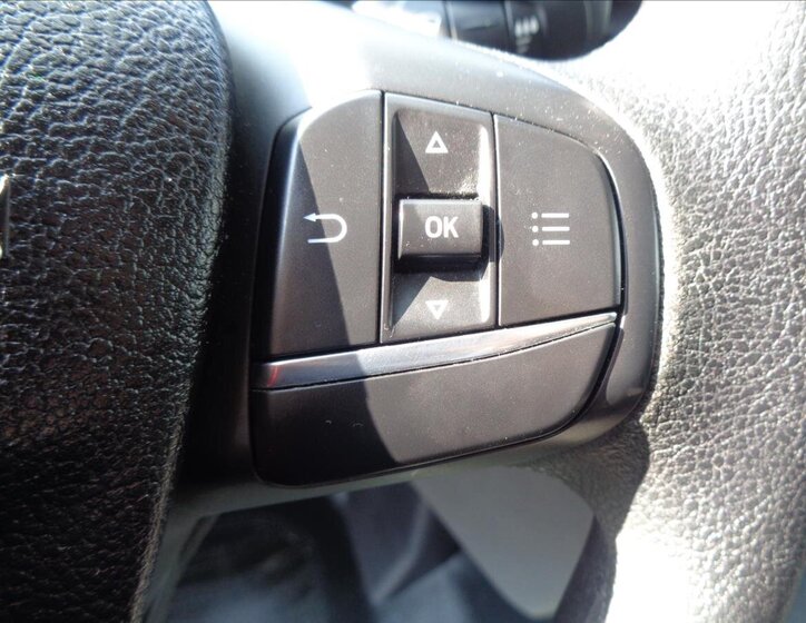 Ford Transit Custom Ostatní 2,0 l 79 kw