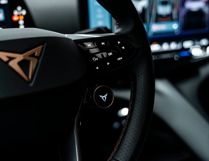 Cupra Ostatní SUV 0,0 210 kw