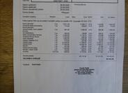 Volkswagen Caravelle 9