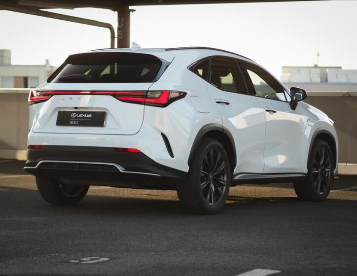 Lexus NX 450h plus 15