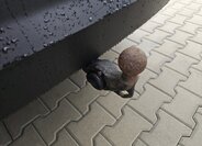 Škoda Kodiaq Kombi 2,0 l 110 kw