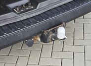 Ford Transit Custom 19