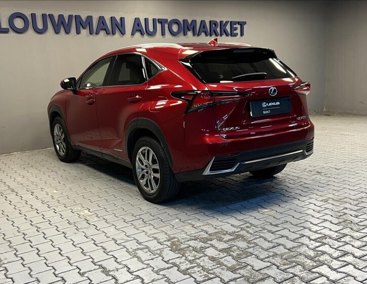 Lexus NX 300h 13