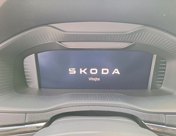 Škoda Karoq 12
