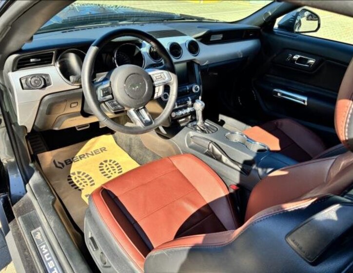 Ford Mustang Kabriolet 5,0 l 310 kw