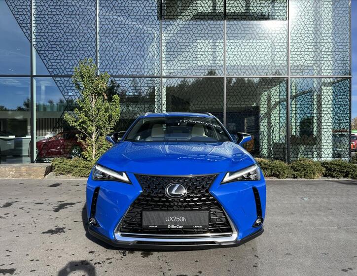 Lexus UX 250h 3