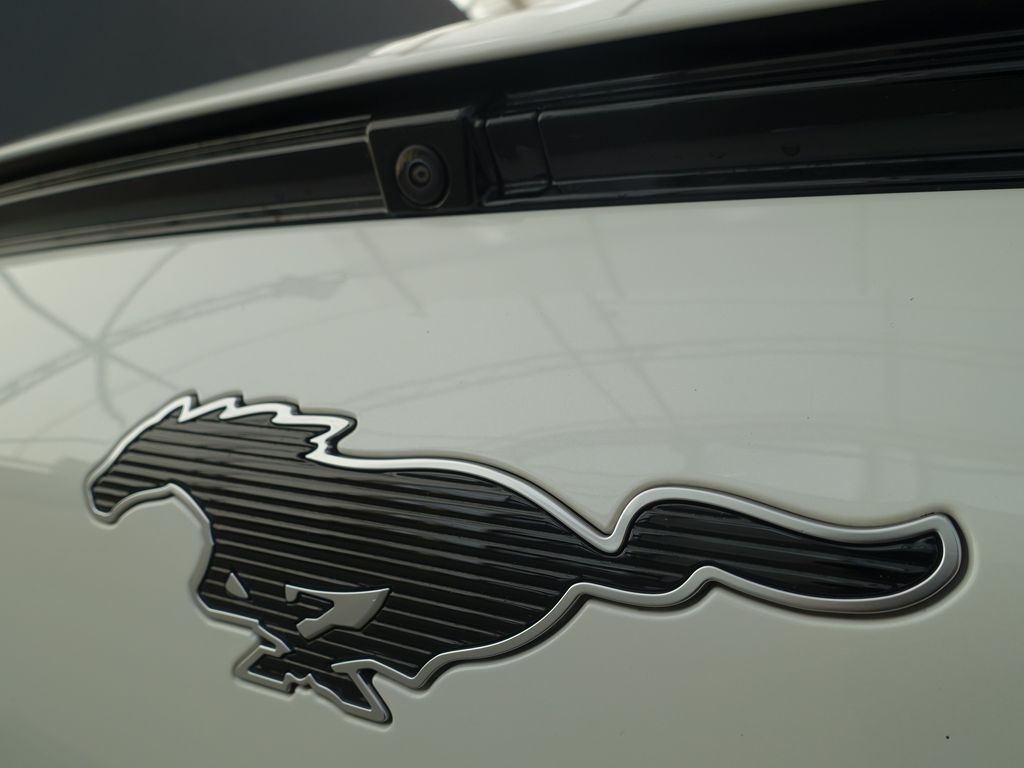 Ford Mustang Mach-E