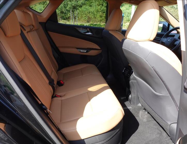 Lexus NX 450h plus 14