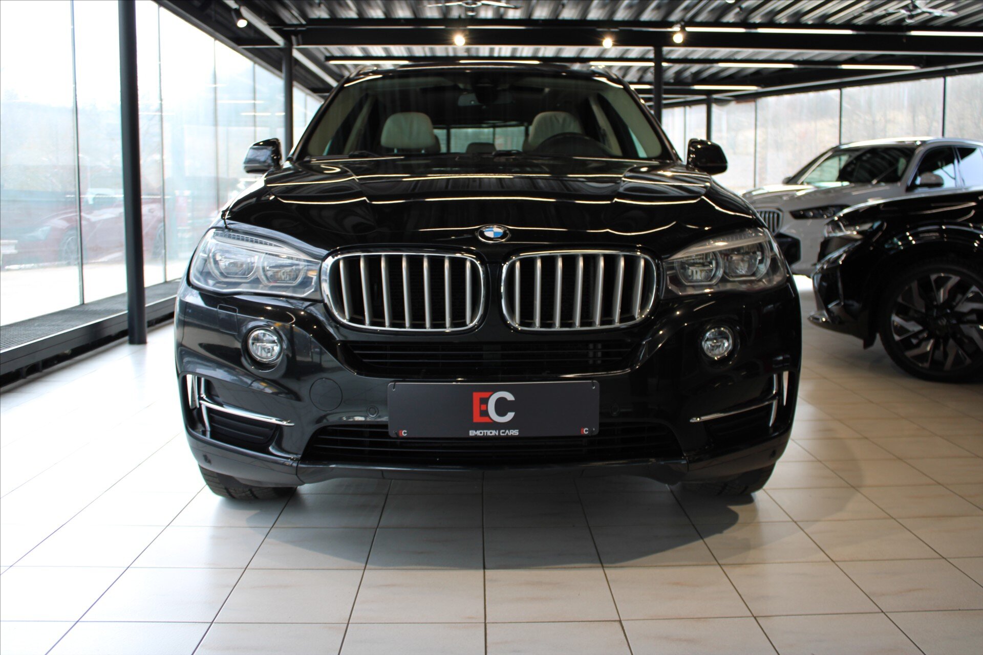 BMW X5 SUV / Terénní 3,0 l 230 kw