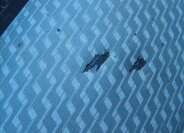 Volkswagen Transporter Ostatní 2,0 l 75 kw