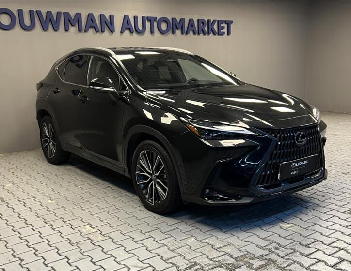 Lexus NX 450h plus 11