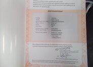 Toyota RAV4 SUV 2,5 l 114 kw