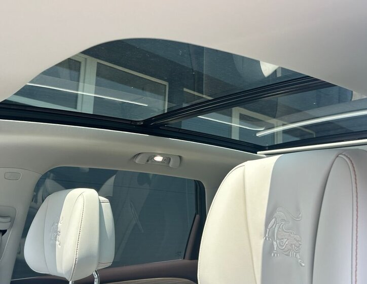 Dongfeng Ostatní 12