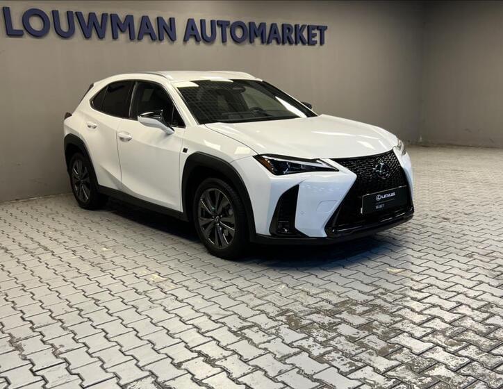 Lexus UX 300h 11