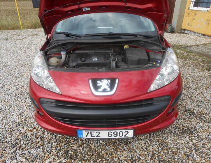 Peugeot 207 19