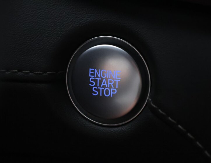 Hyundai Santa Fe SUV 2,2 l 142 kw