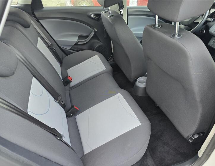 Seat Ibiza 10