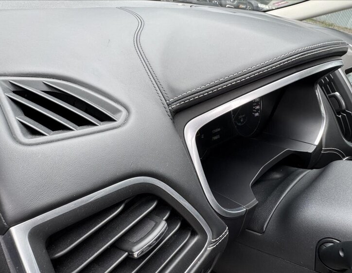 Ford S-MAX Kombi 2,0 l 110 kw