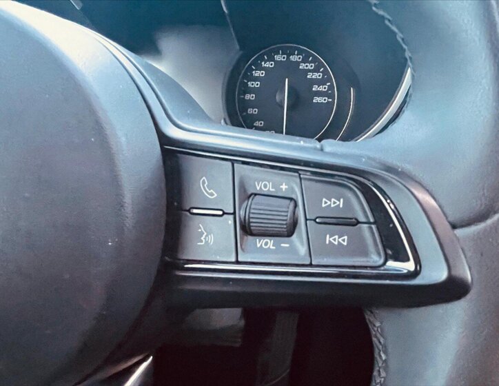 Alfa Romeo Stelvio SUV / Terénní 2,1 l 118 kw