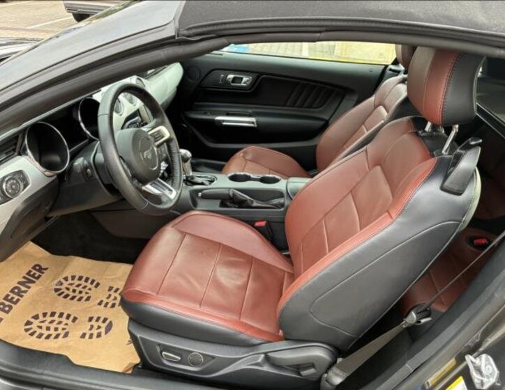 Ford Mustang Kabriolet 5,0 l 310 kw