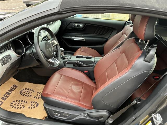 Ford Mustang Kabriolet 5,0 l 310 kw