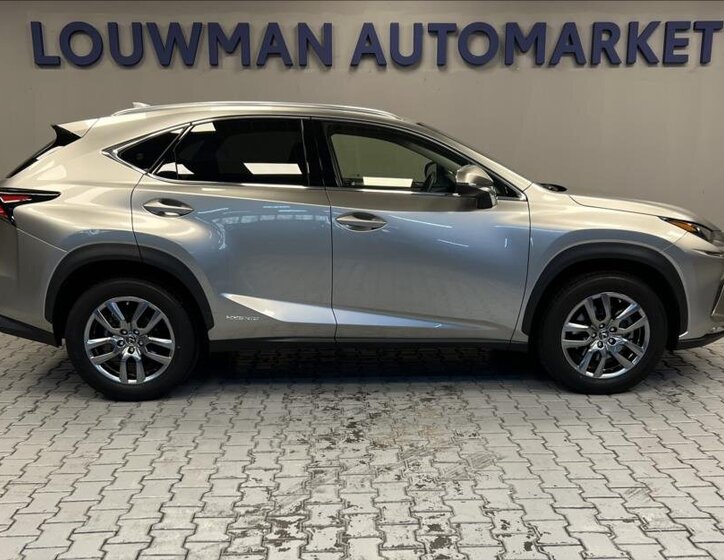 Lexus NX 300h 14
