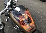 Suzuki Ostatní Ostatní 805,0 41 kw