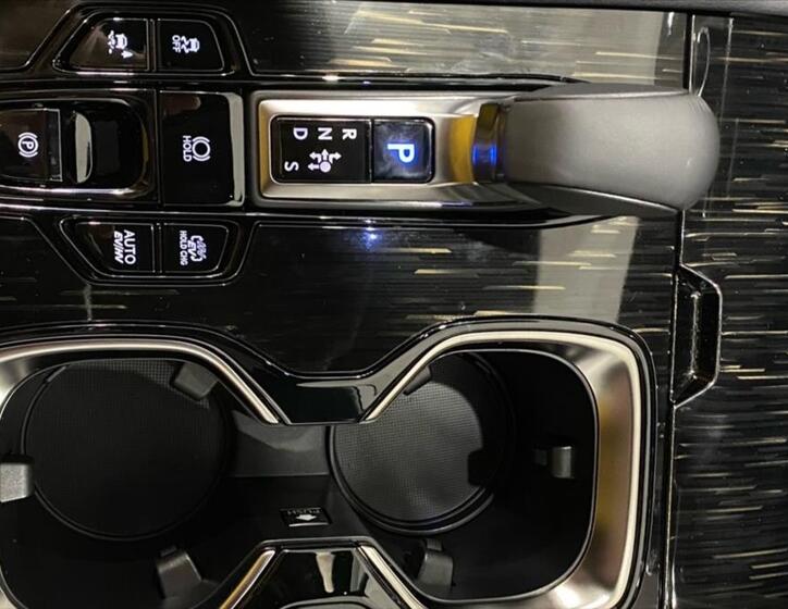 Lexus RX 450h plus 19