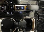 Lexus RX 450h plus 19